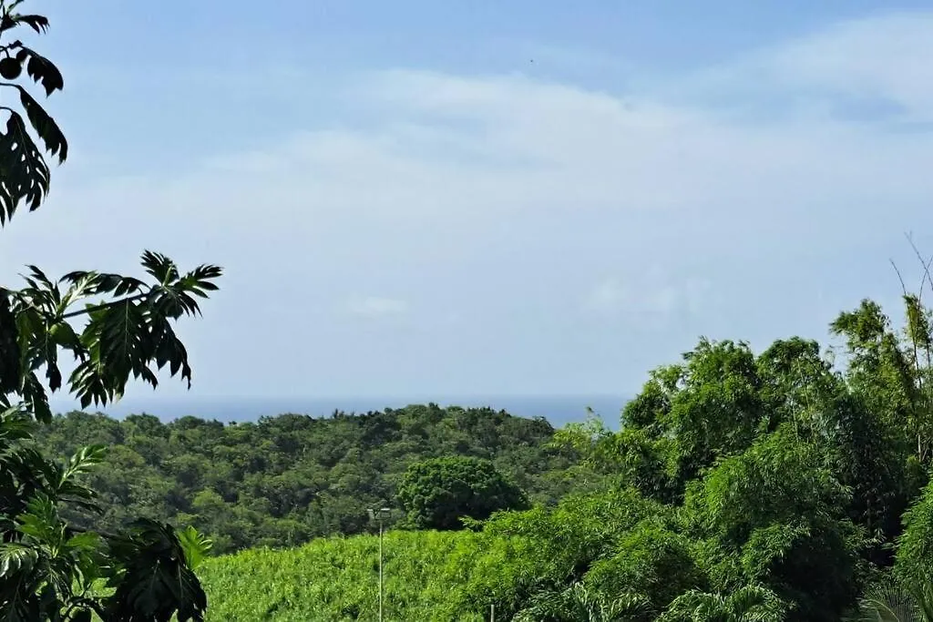 Cottage Zen & Jacuzzi Chez La Libellule Caribeenne 세인트 로즈