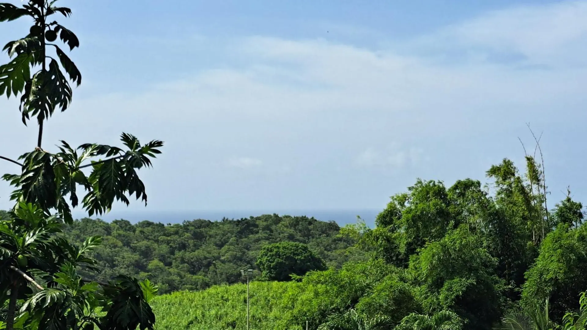 Cottage Zen & Jacuzzi Chez La Libellule Caribeenne 세인트 로즈 과달루프